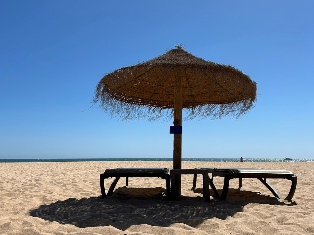 Praia da Rocha Baixinha-阿尔布赞拉必去景点