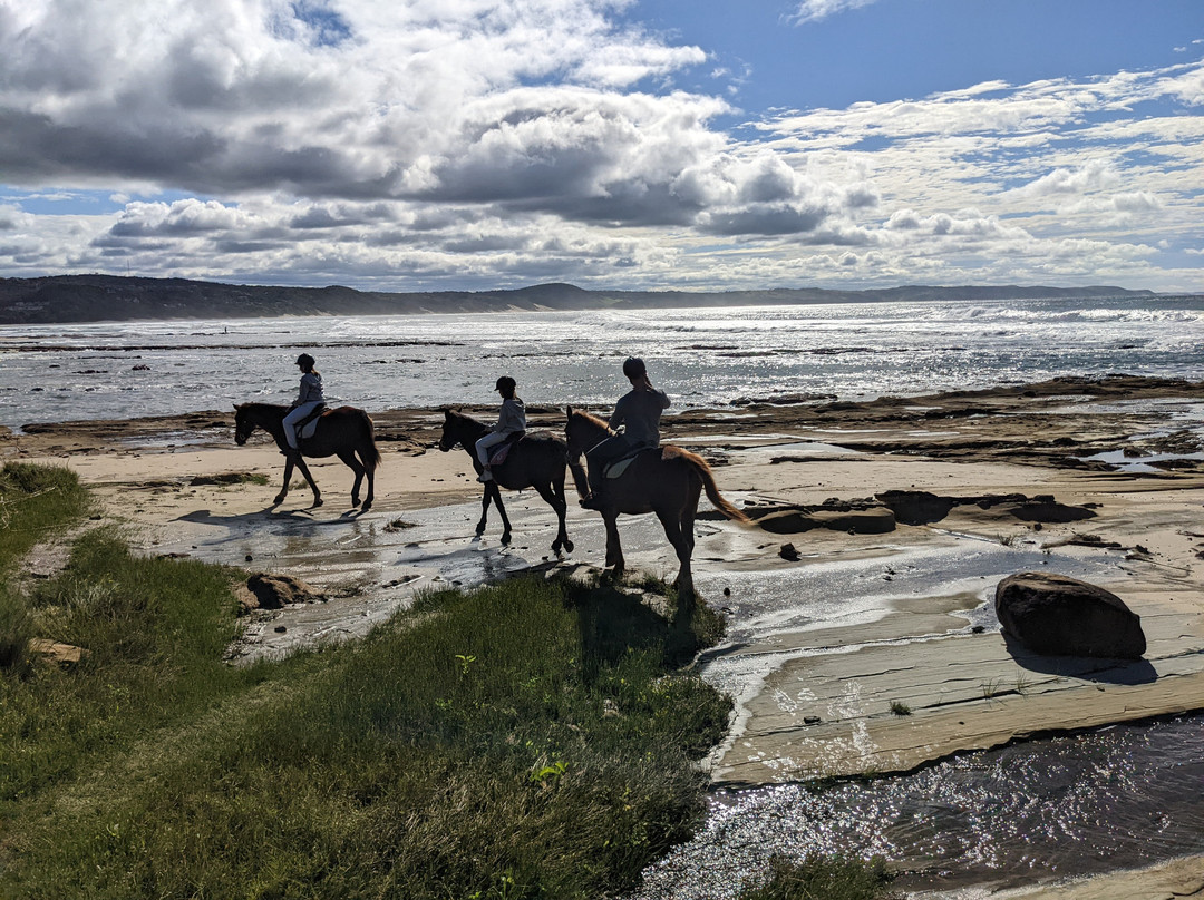 Cintsa Horses-Chintsa West必去景点