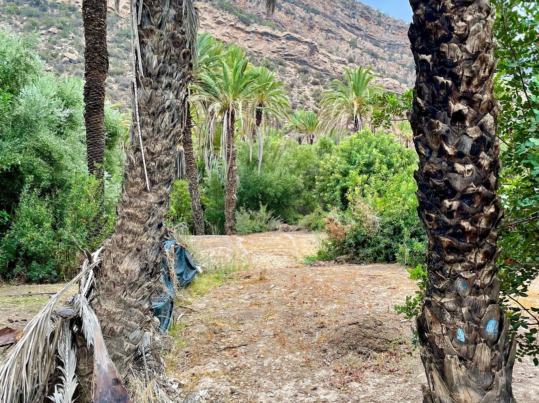 Paradise Valley Agadir-阿加迪尔必去景点