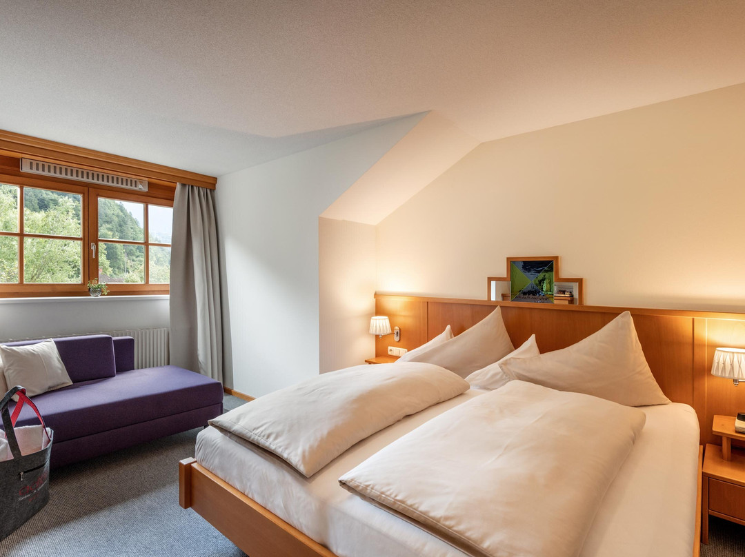 Relax- & Vitalhotel Adler主图