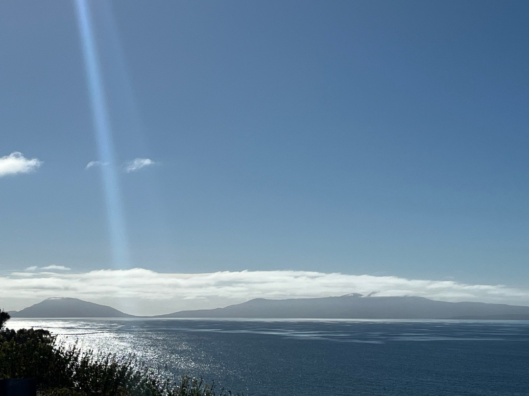 Spiky Beach Conservation Area-斯旺西必去景点