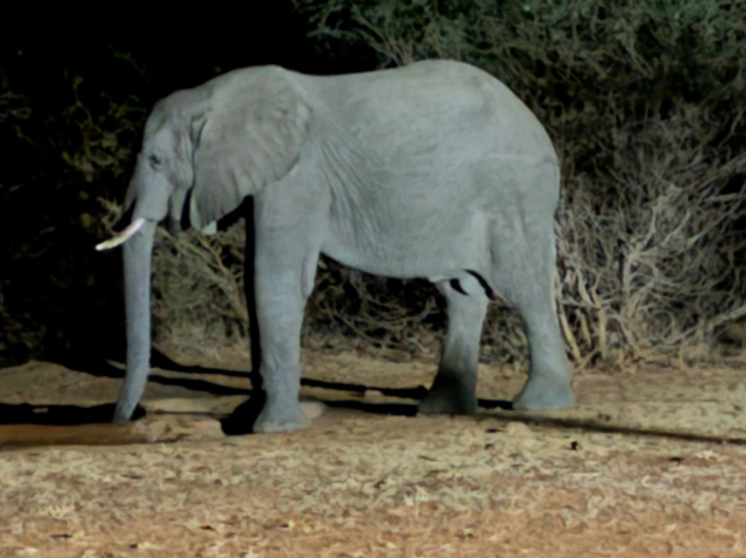 Ngalali Retreat主图