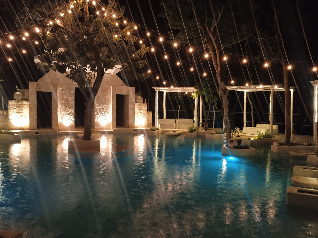 The Yellow Nest主图