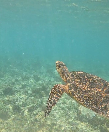 ON Bali-乌布必去景点