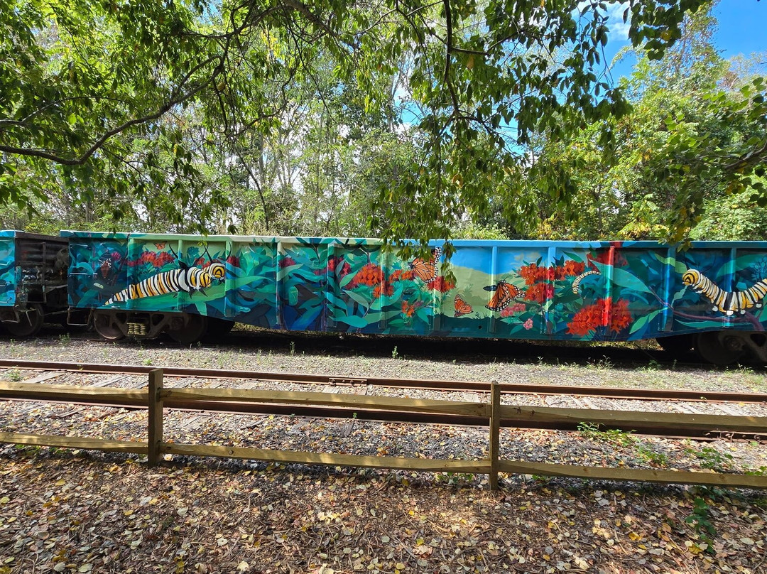 Garrett Family Preserve-开普梅必去景点