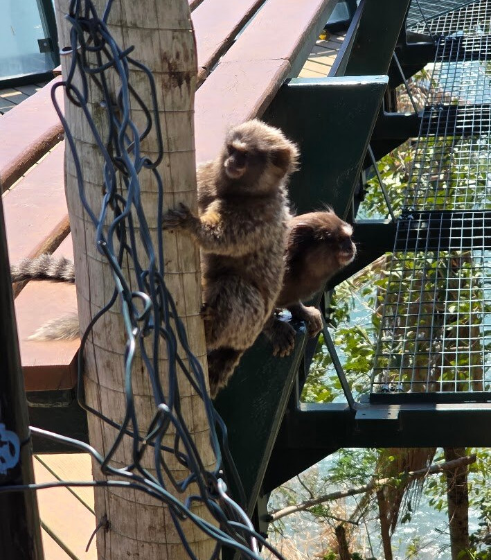 Mirante do Barreiro-伊利亚贝拉必去景点