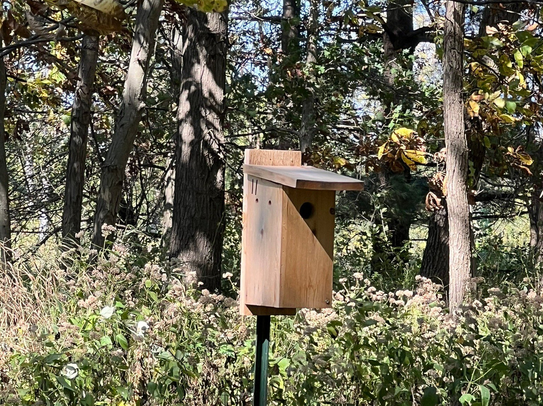 McDonald Woods Forest Preserve-Lake Villa必去景点