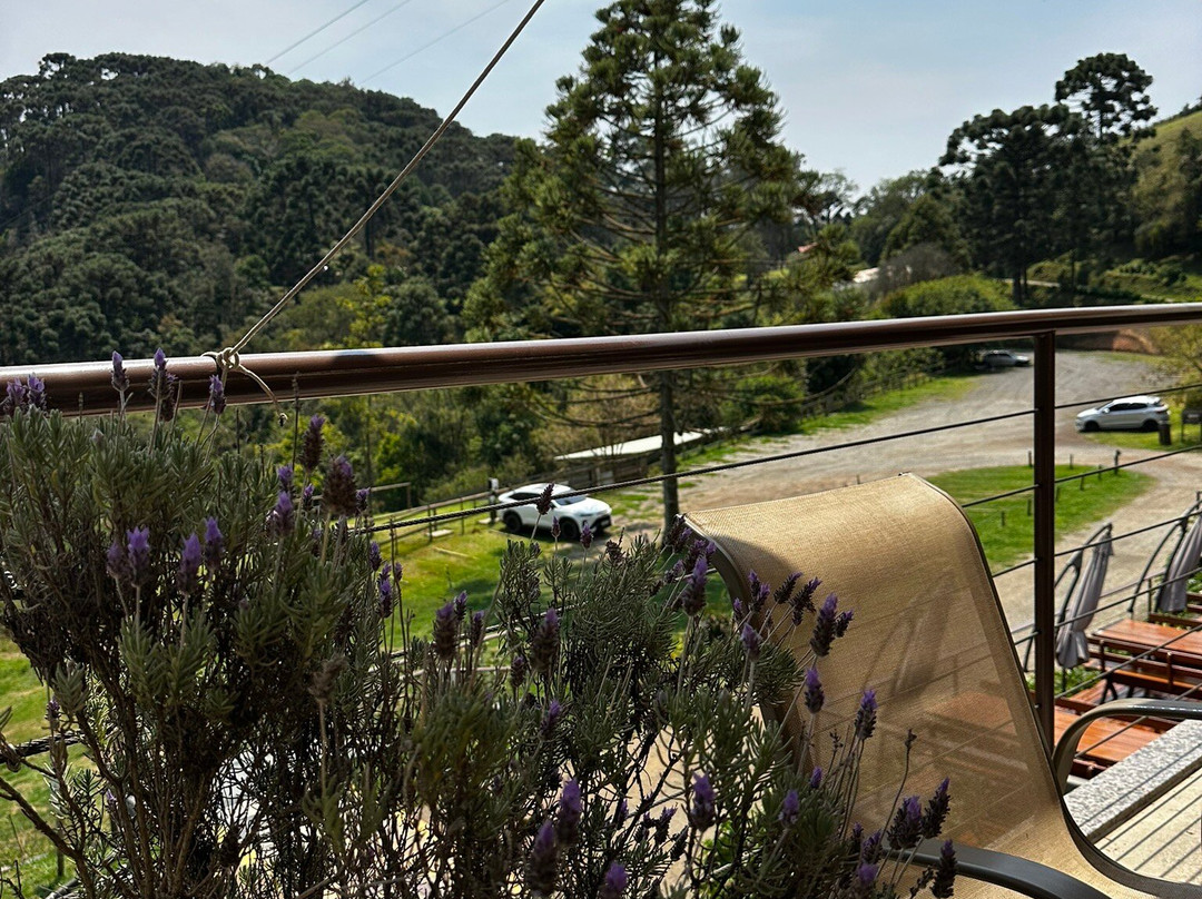 Cervejaria 3 Orelhas-Goncalves必去景点