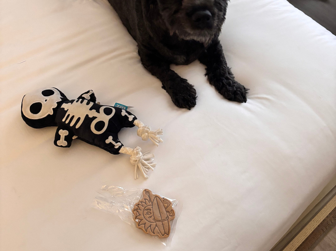 Boarding House Cape May主图