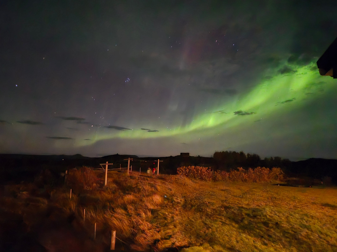 Hotel Skulagardur主图