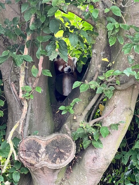 Wingham Wildlife Park-Wingham必去景点