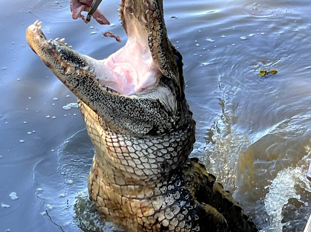 McGee's Louisiana Swamp & Airboat Tours-Henderson必去景点