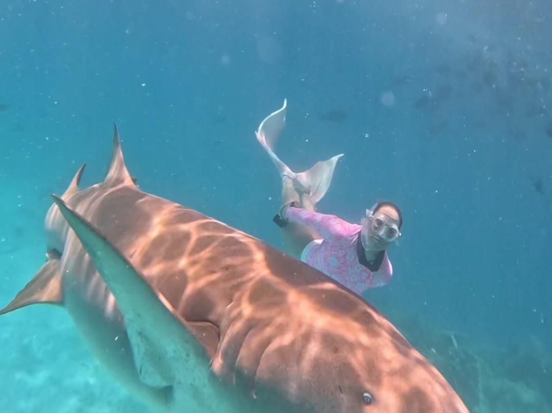 Blue Water Freediving School-伦敦必去景点