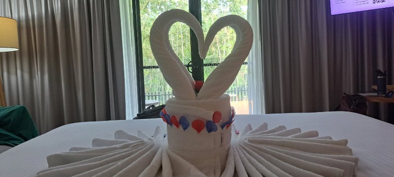 达尔文机场美居度假酒店-官方