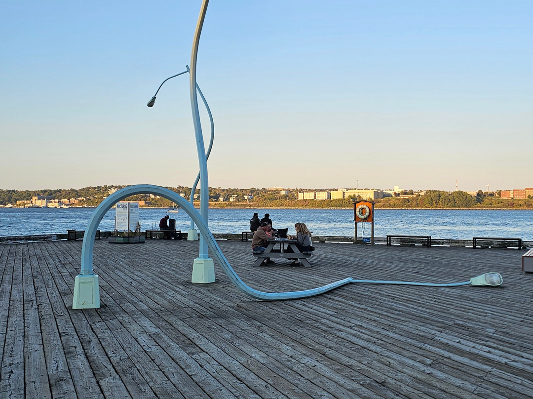 Ambassatours Gray Line-哈利法克斯必去景点