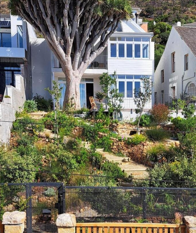 The Dragon Tree Guesthouse