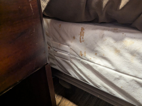 Extended Stay America - El Paso - Airport主图