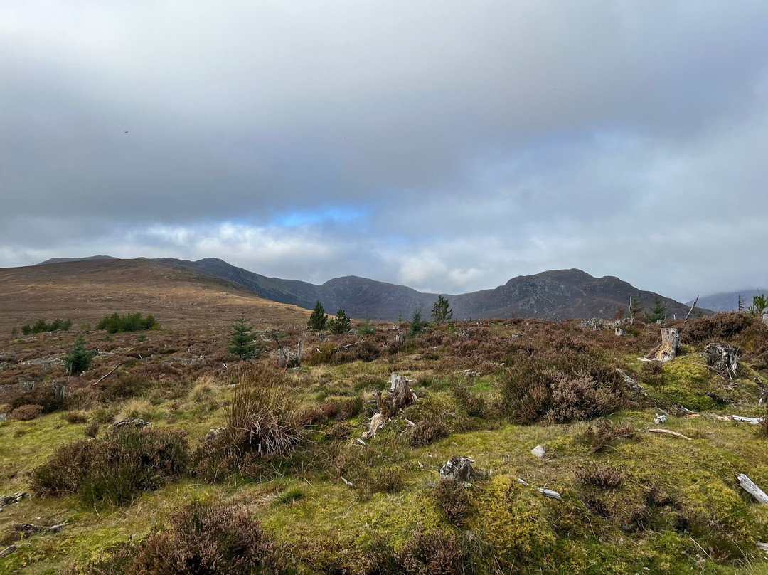 Highland Trekking and Trail Riding-Cannich必去景点