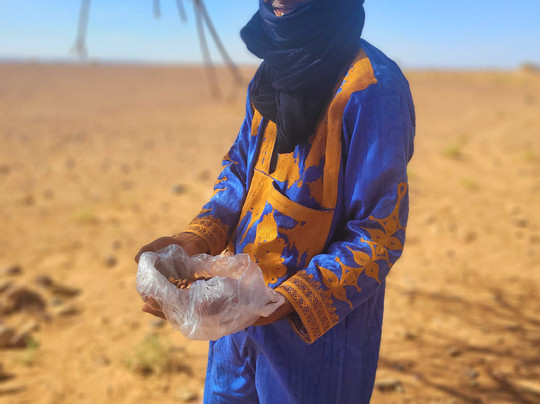 Bivouac Nour-迈哈米德必去景点