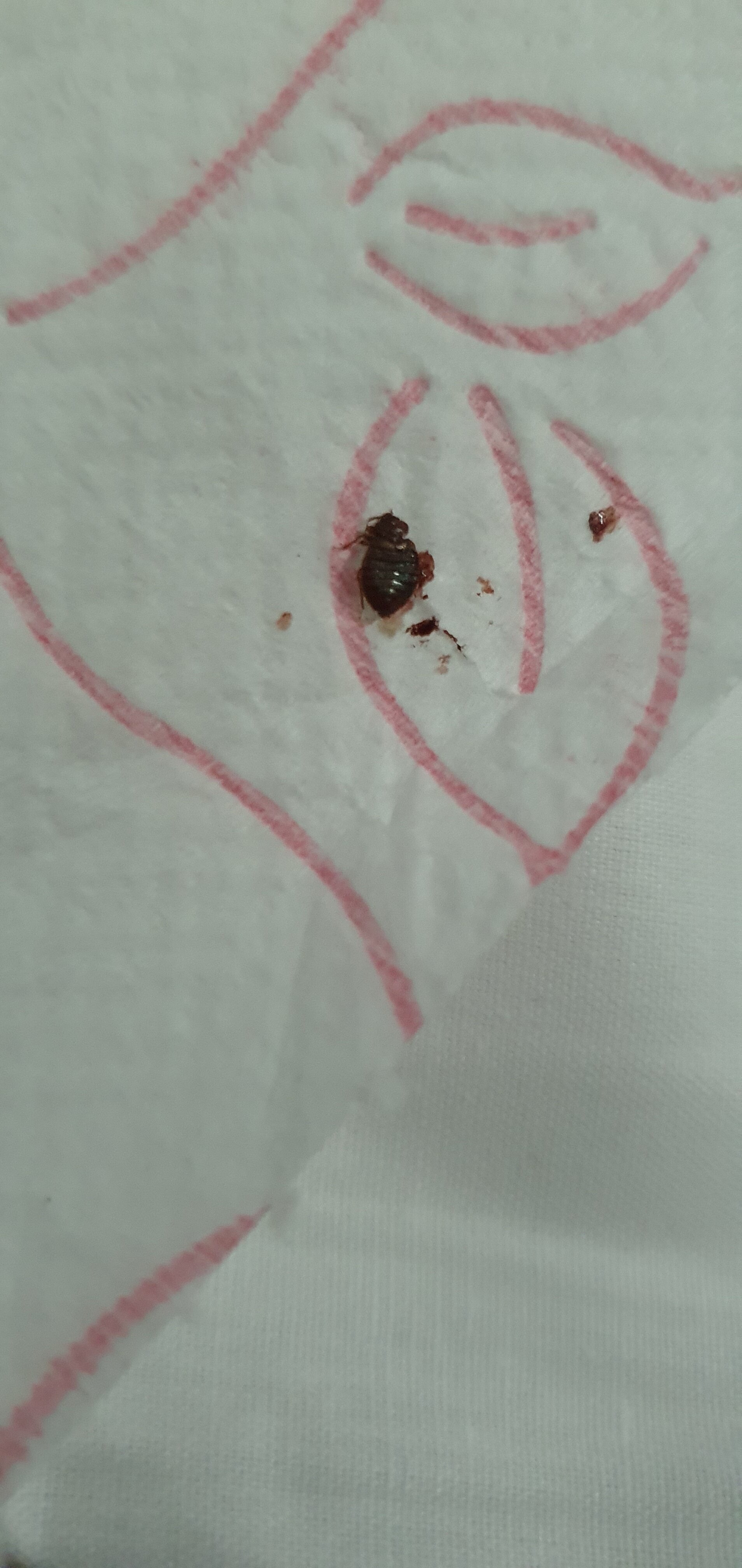 Hotel Liberty 2-官方