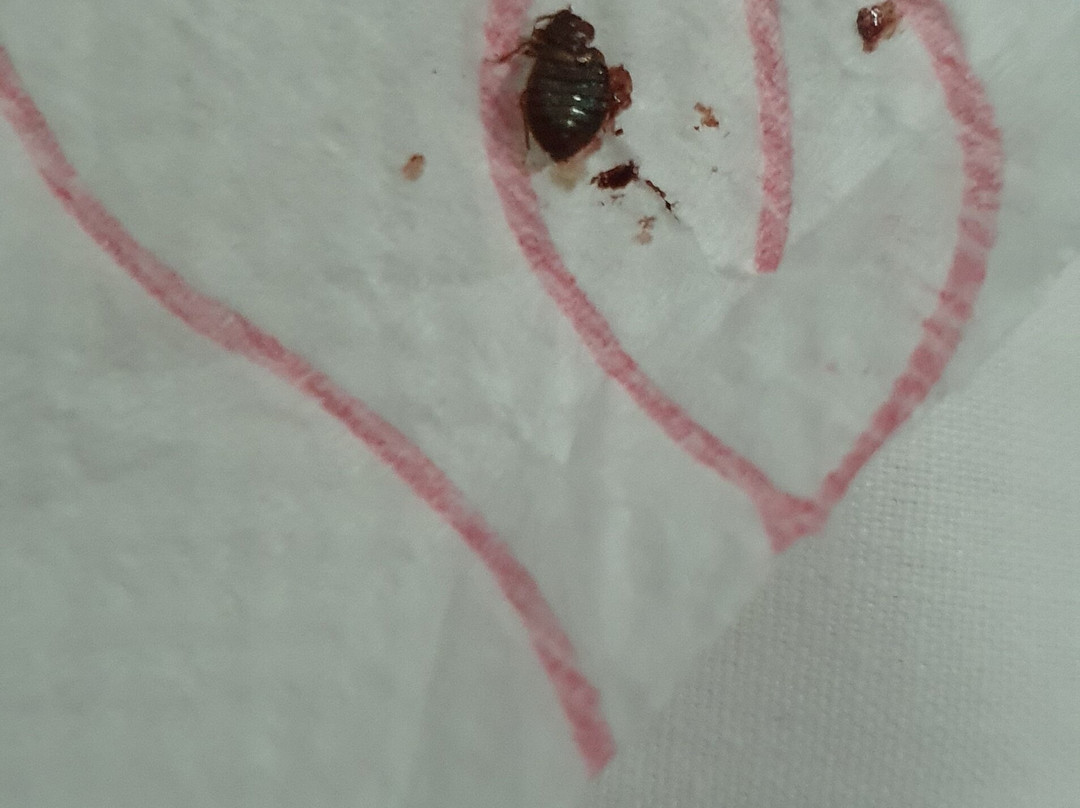 Hotel Liberty 2主图