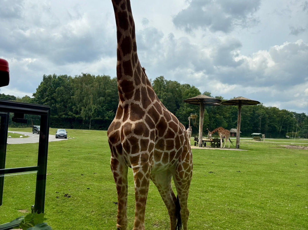 Serengeti-park Hodenhagen-Hodenhagen必去景点
