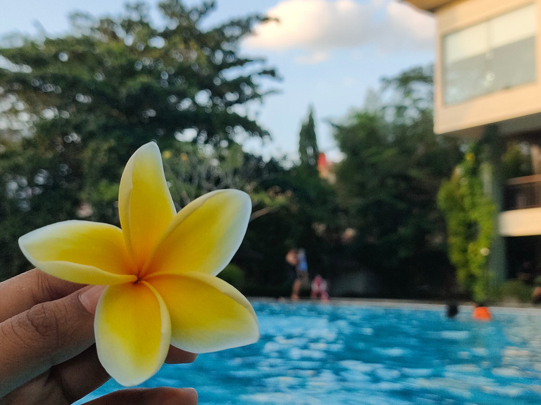 祖日杜里大酒店主图