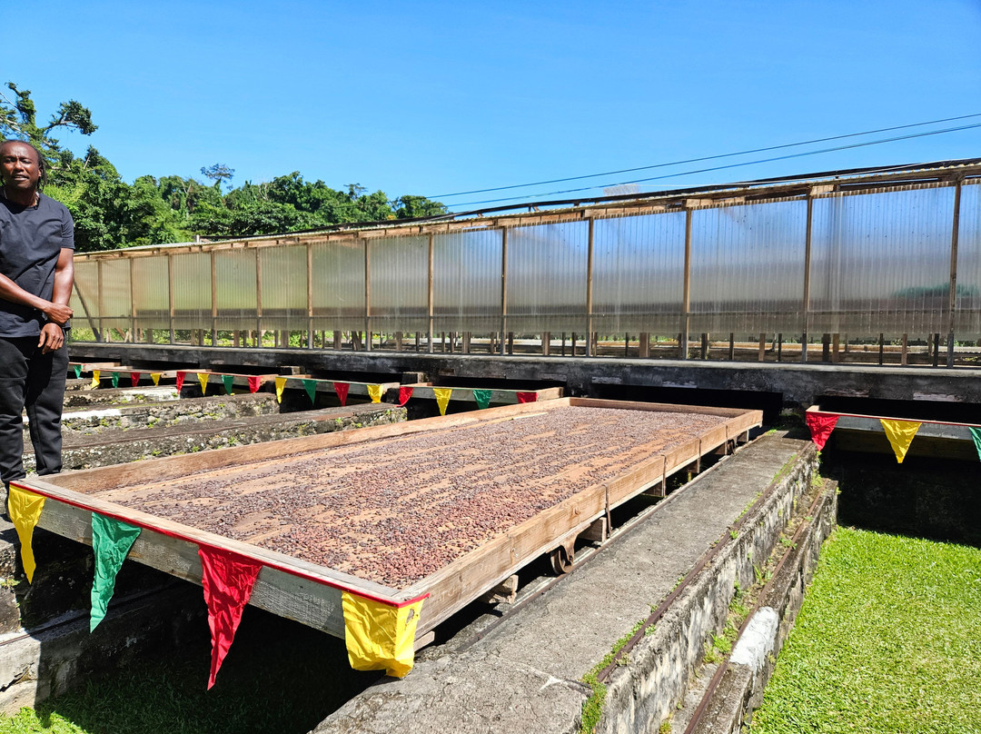 Belmont Estate Grenada-Belmont必去景点