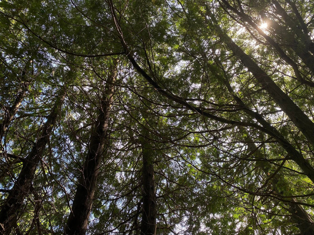 Fischer Creek State Recreation Area-Cleveland必去景点