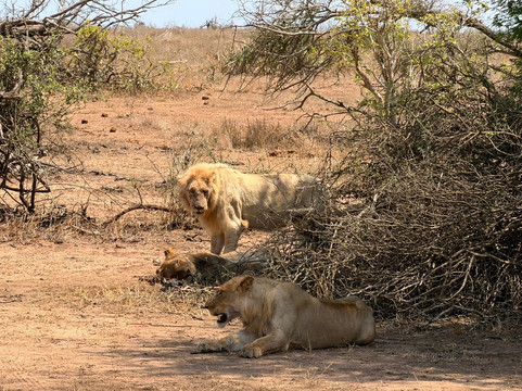 Bushbaby Tours And Transfers-霍德斯普鲁特必去景点