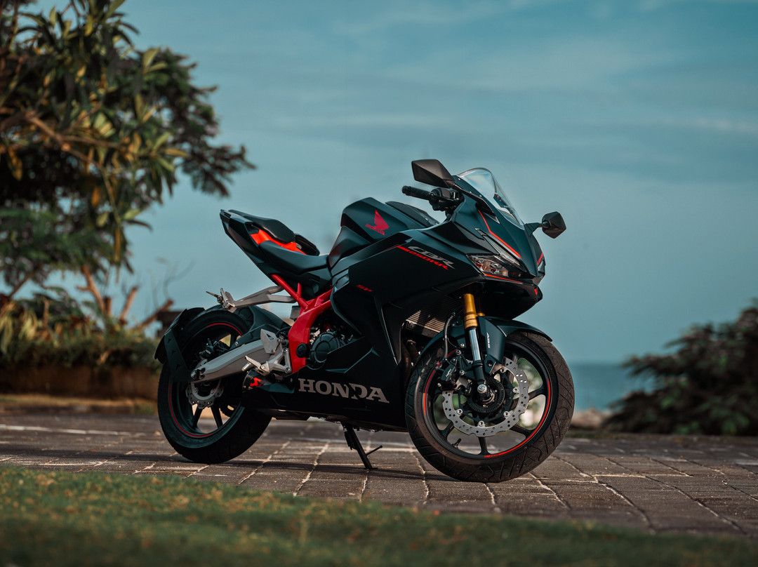 Motorcycle Rental Bali  by RedGecko Bikes-Pemecutan Klod必去景点