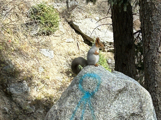Panoramic Central Asia Tours-比斯凯克必去景点