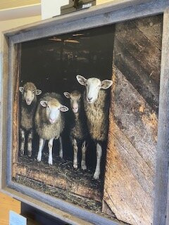 Focus, A Vermont Gallery-伍德斯托克必去景点