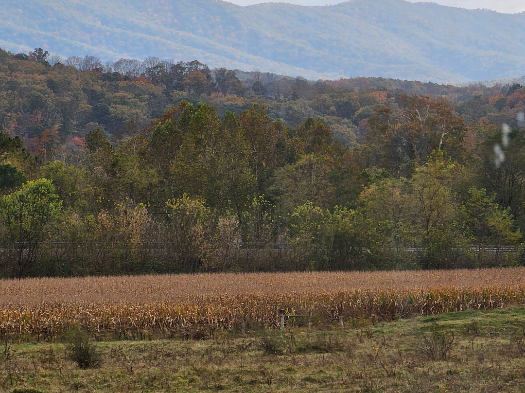 Potomac Eagle Scenic Railroad-Romney必去景点