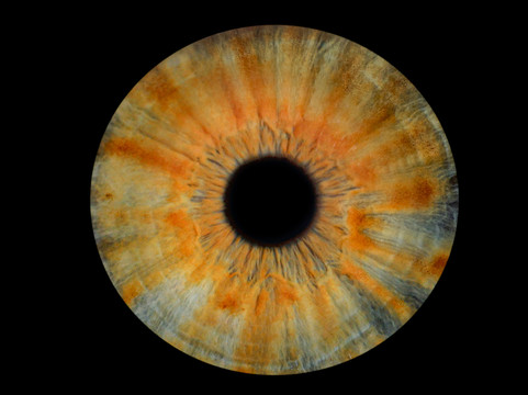 Vizualeyes Leeds-利兹必去景点