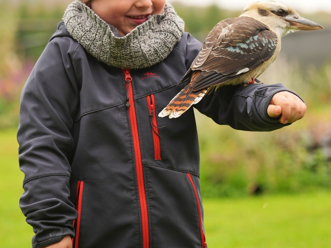 Le Jardin des Hiboux-Bievre必去景点