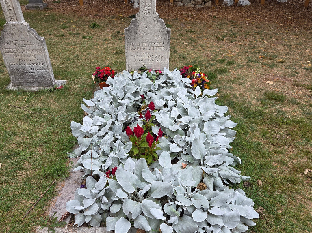 Shrine of Our Lady of Good Help-Champion必去景点