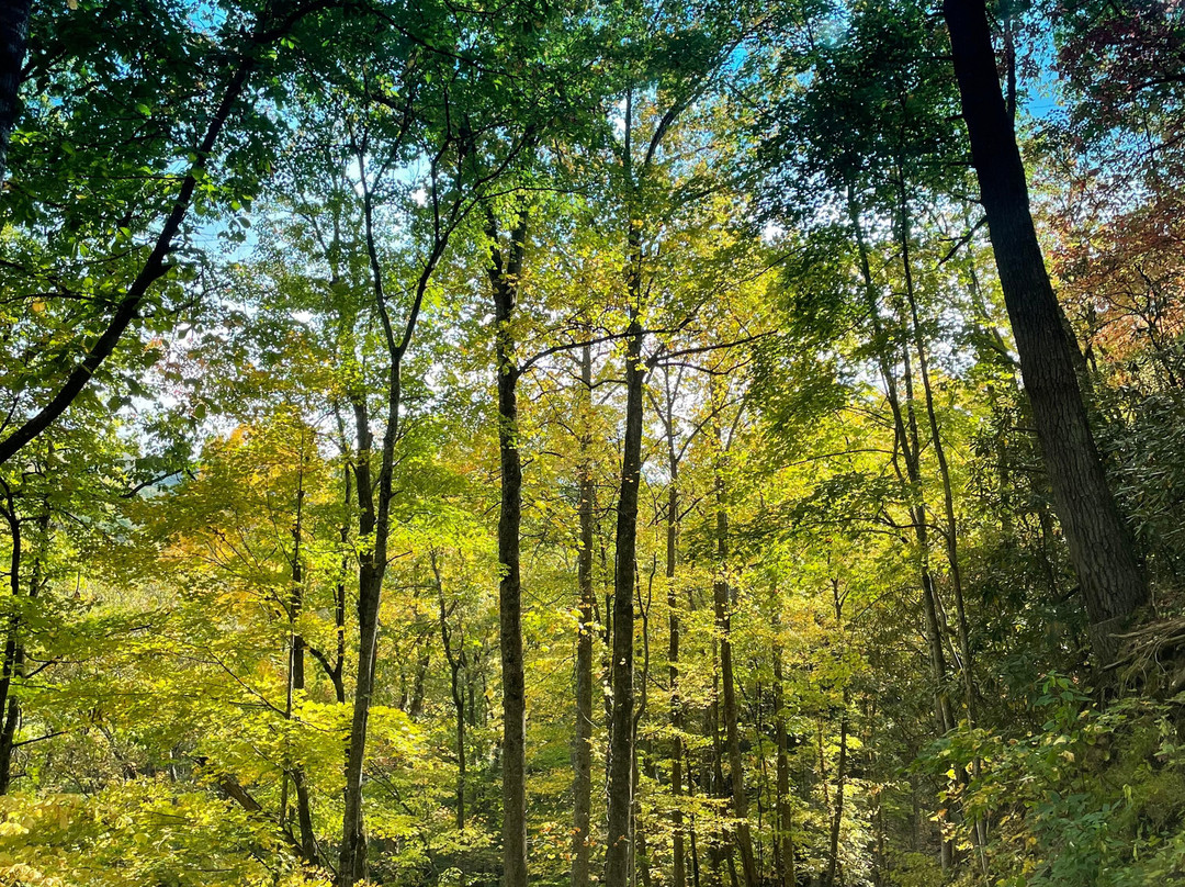 Rich Mountain Road-大雾山国家公园必去景点