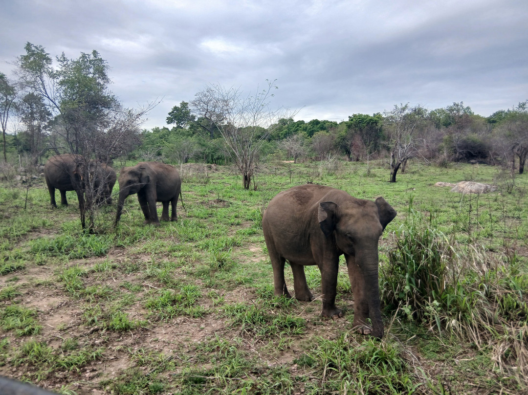 Good Holiday Tours-科伦坡必去景点