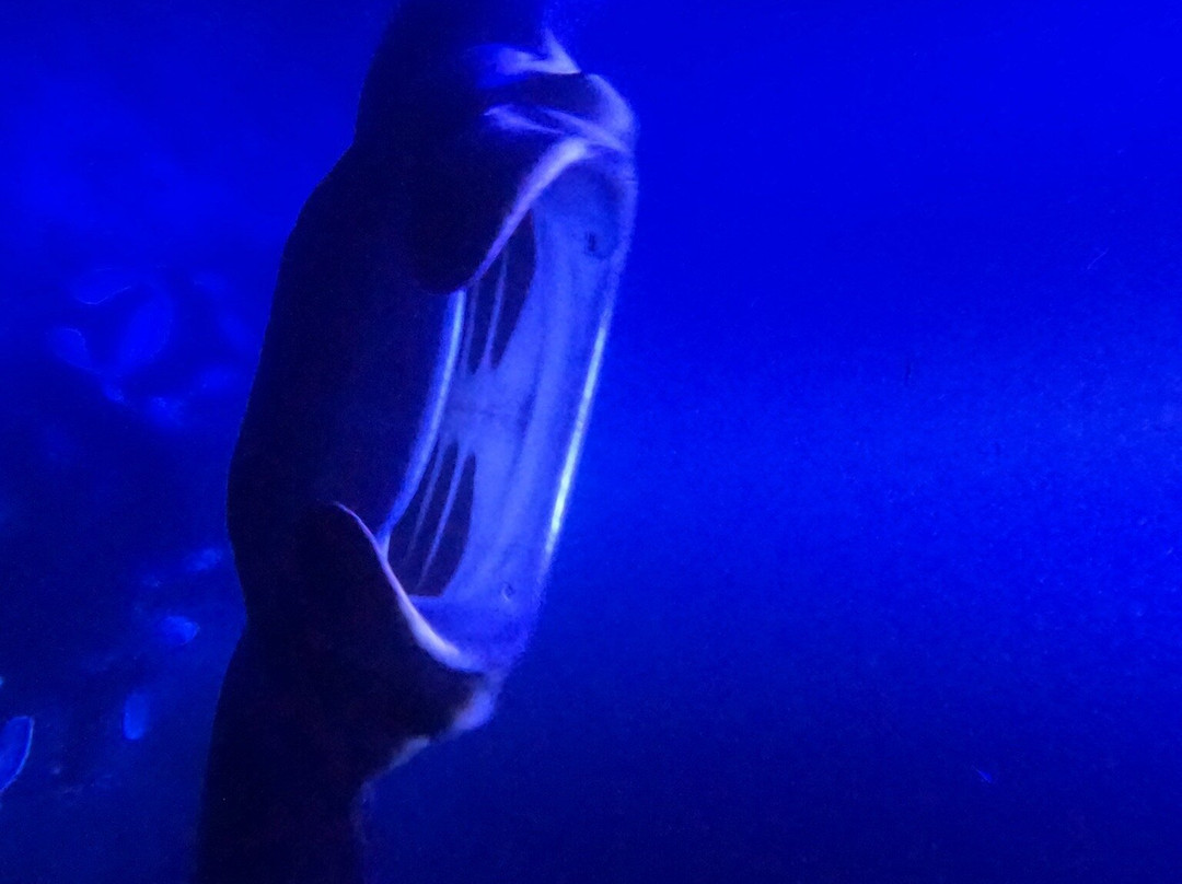 Anelakai Adventures-凯乌渥必去景点