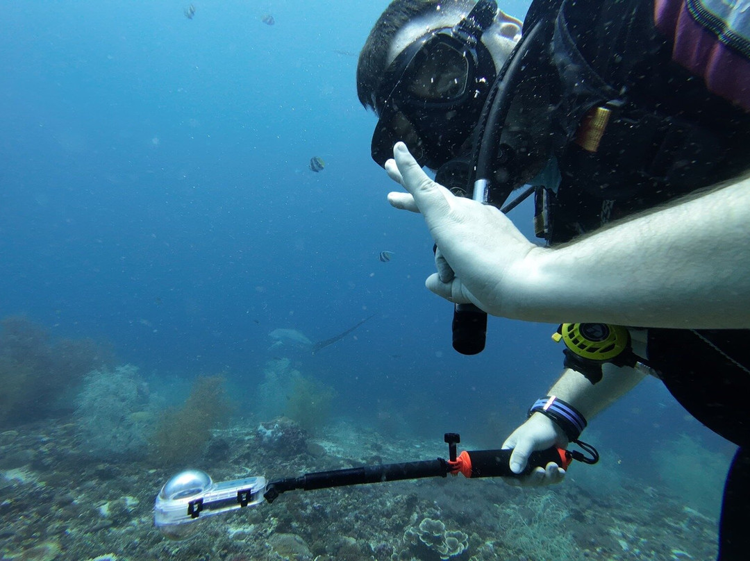 长尾鲨浮潜-妈妈拍丝瓜岛必去景点