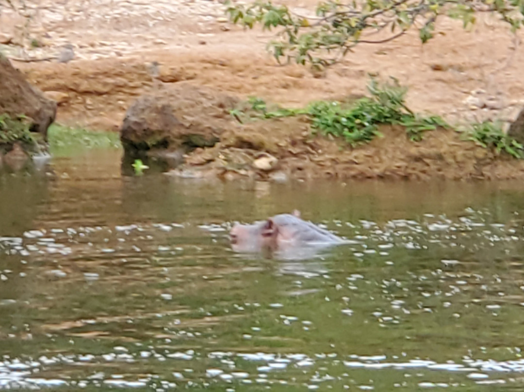 Churchill Safaris & Travel-坎帕拉必去景点