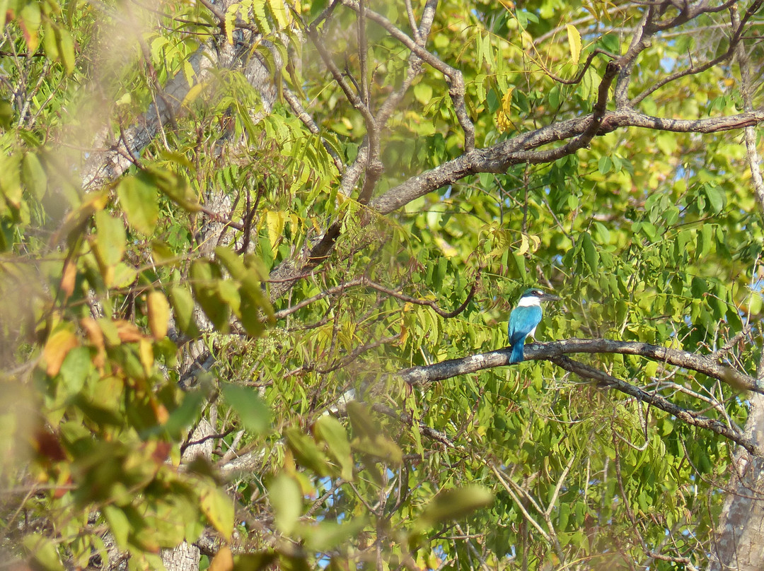 西巴厘岛国家公园-巴厘岛必去景点