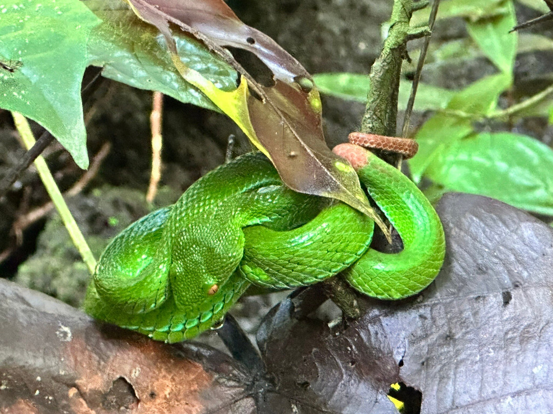 Cat Tien Park-Nam Cat Tien必去景点