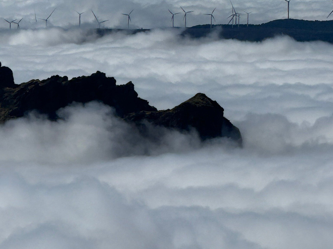 Bravelanders-沙尔必去景点