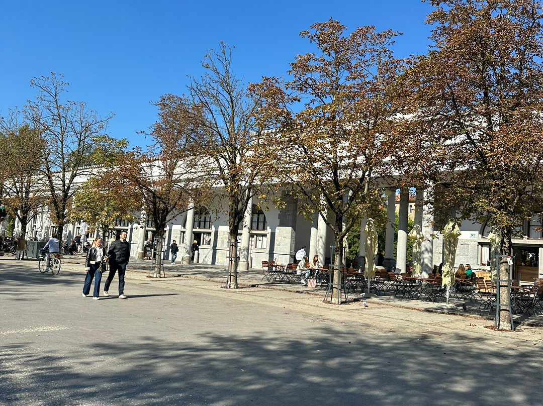 Vodnik Square (Vodnikov trg)-卢布尔雅那必去景点