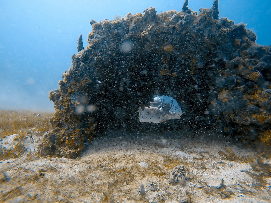 St. Thomas Dive Center-Bolongo Bay必去景点