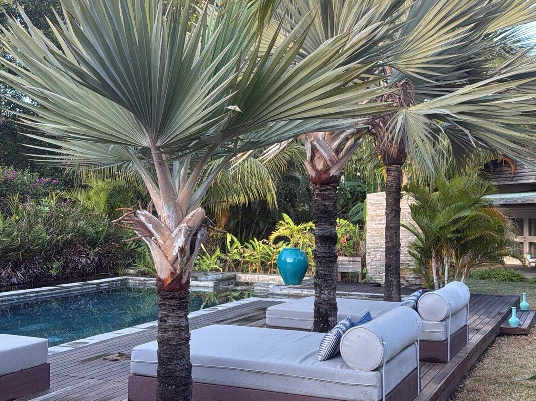 The Good Life Mauritius主图