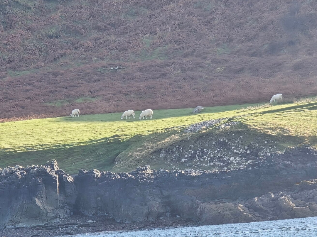 Argyll-Sea Tours-奥本必去景点
