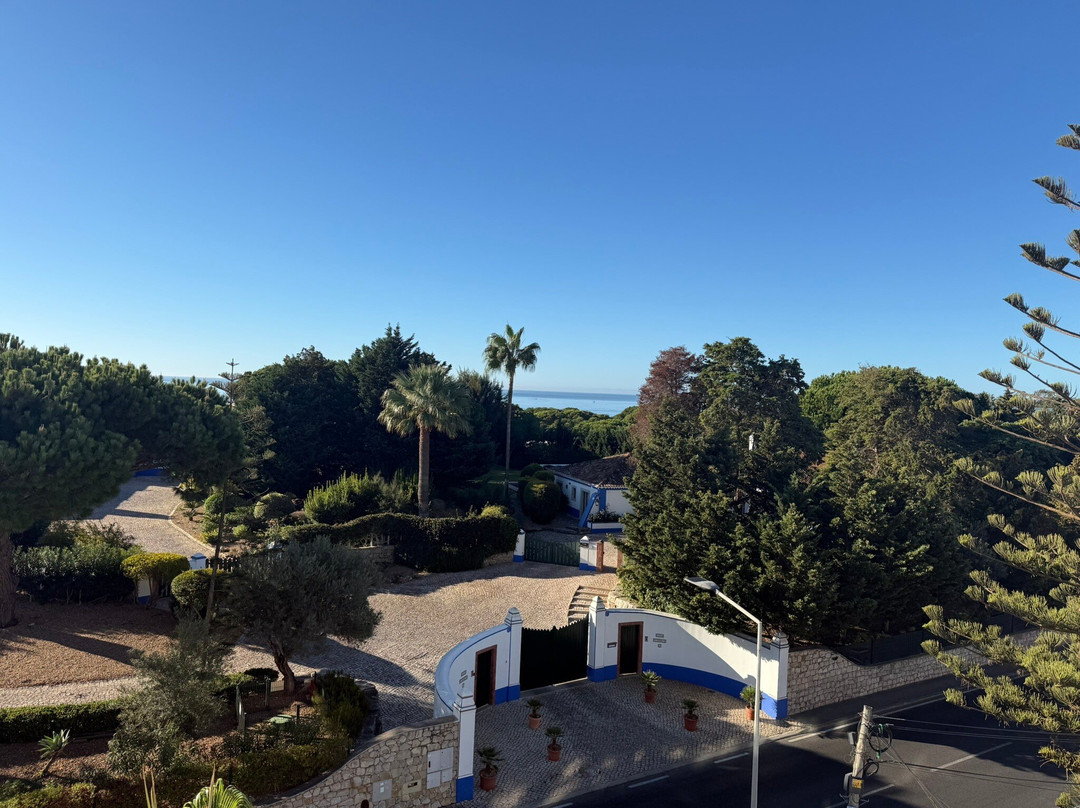 Velamar Boutique Hotel主图